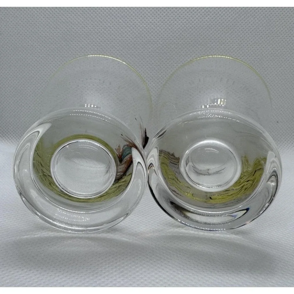 VTG 50s Wildlife Game Bird Shot Cordial Glasses MCM Barware Set Of 2 Duck Quail